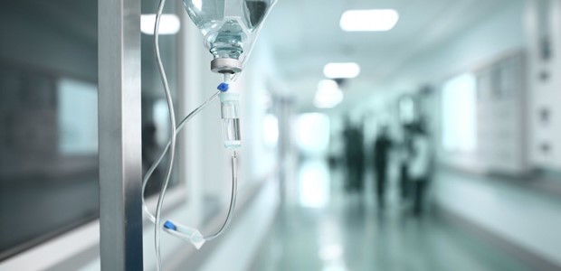 Θετικά νέα για την ερπετολόγο που την δάγκωσε οχιά 